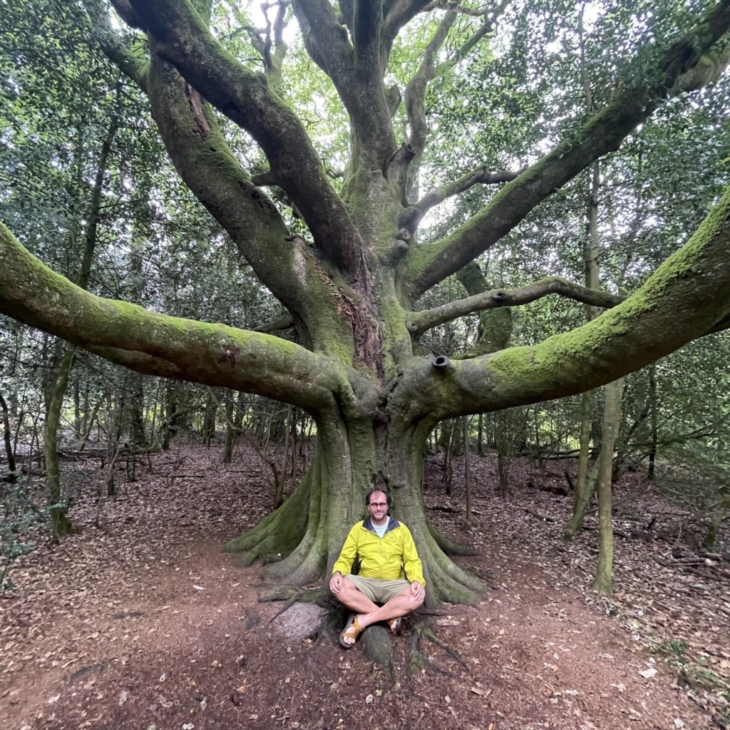 Séjours Rando & Yoga à Brocéliande 1