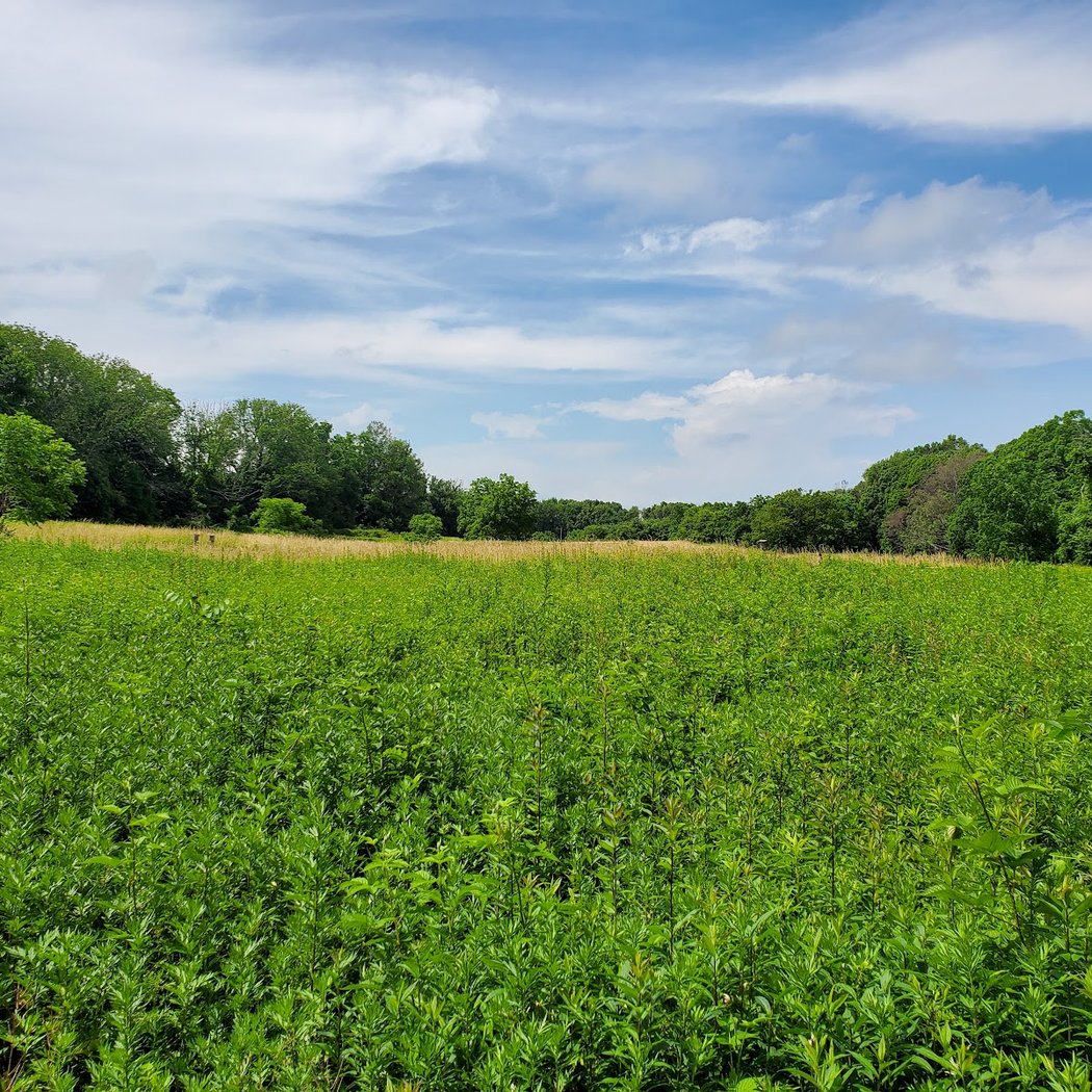 Uplands Farm Sanctuary 2