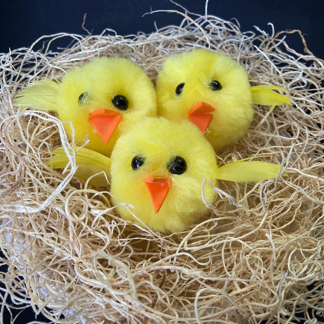 Pom Pom Baby Birds 1