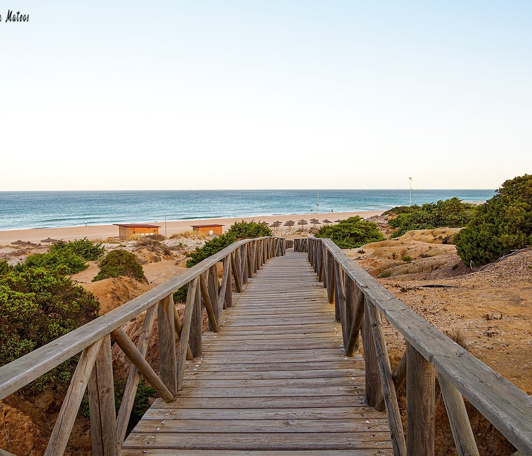 Playa de la Barrosa 1