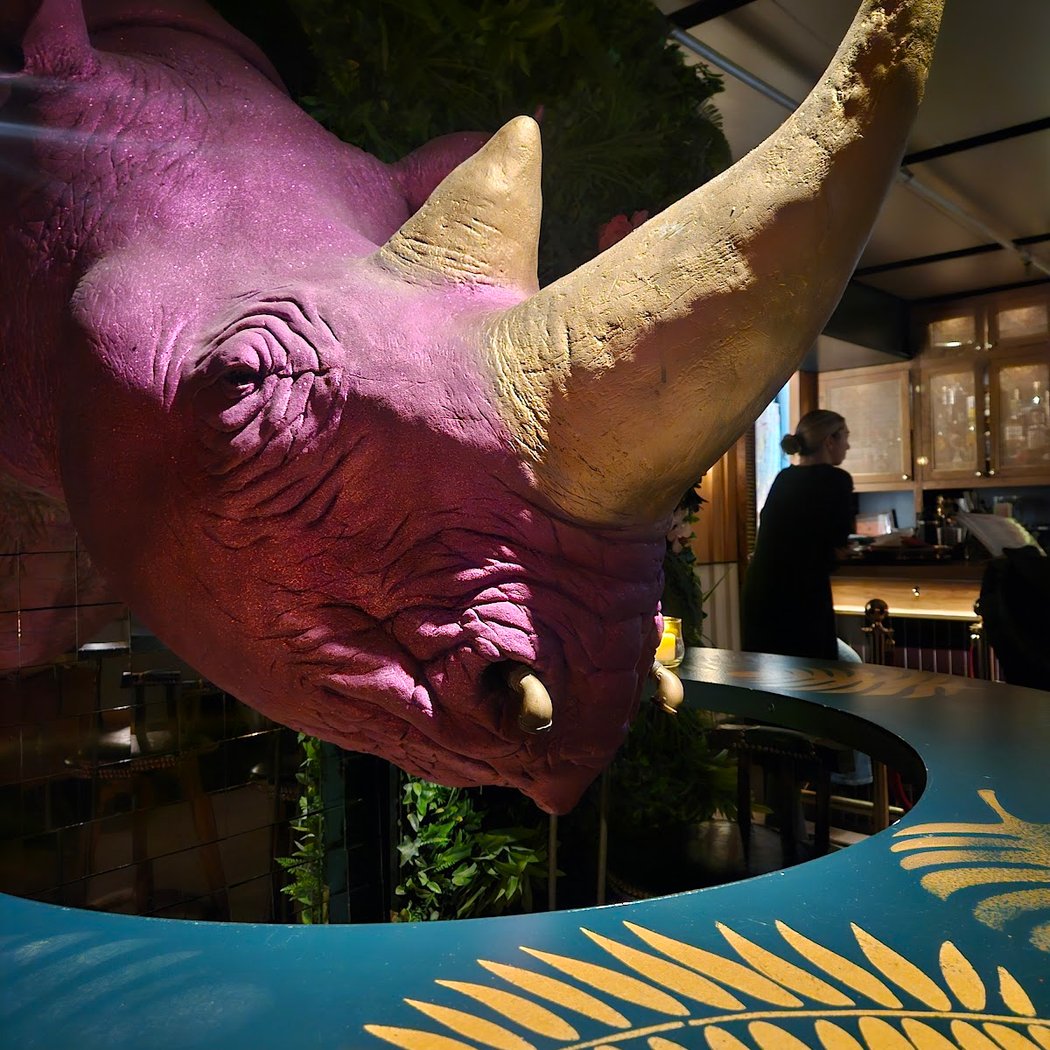 Ra-Ra Rhino (speakeasy thru the photobooth ) 1