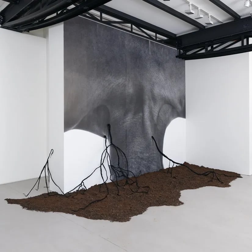 Fundação Serralves 1