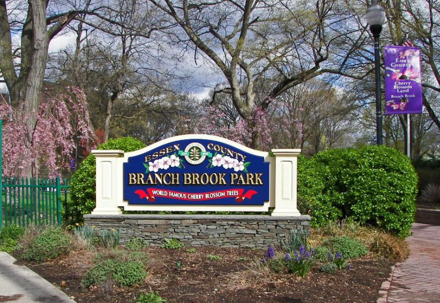 Branch Brook Park 3