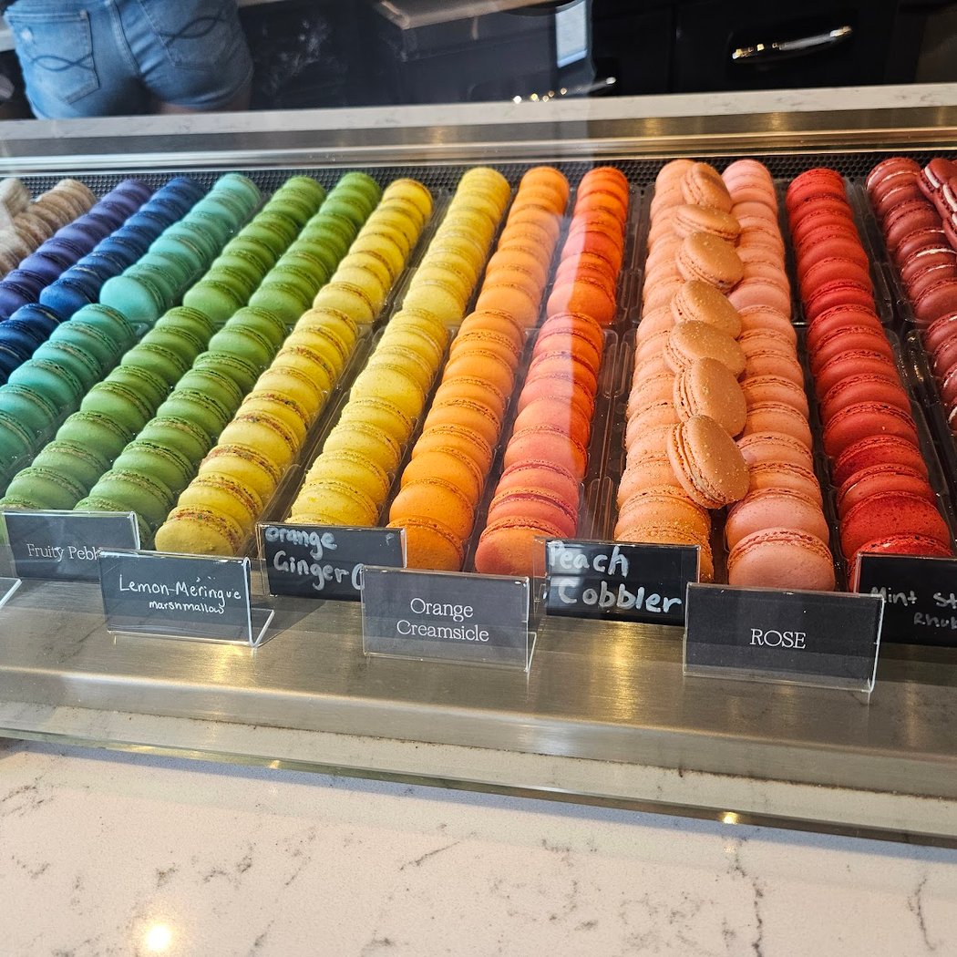 Olivia Macaron 4