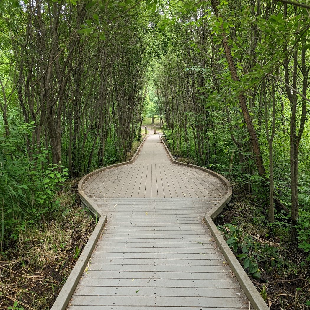 Birding Van Cortlandt Park 1