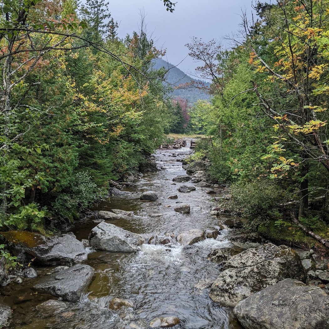 Mt Marcy Trail 1