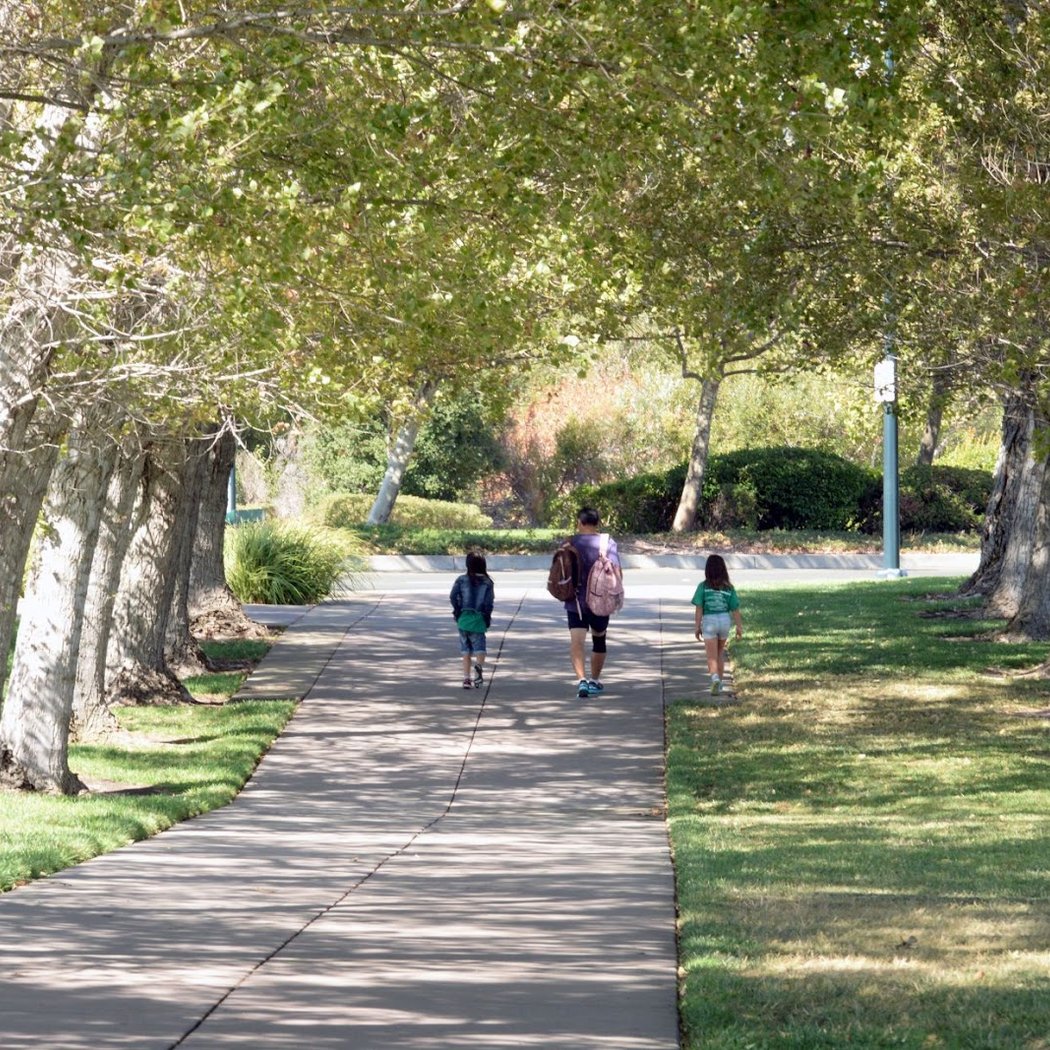 Vintage Green Valley Park 3