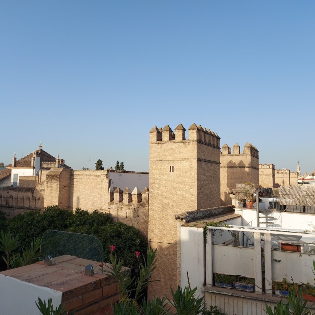 Hotel Palacio Alcázar 2