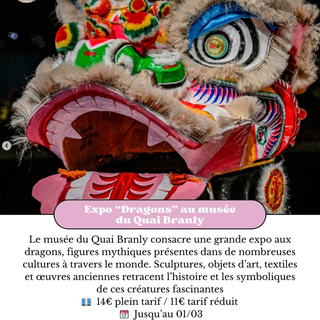 Dragons - L’exposition 1