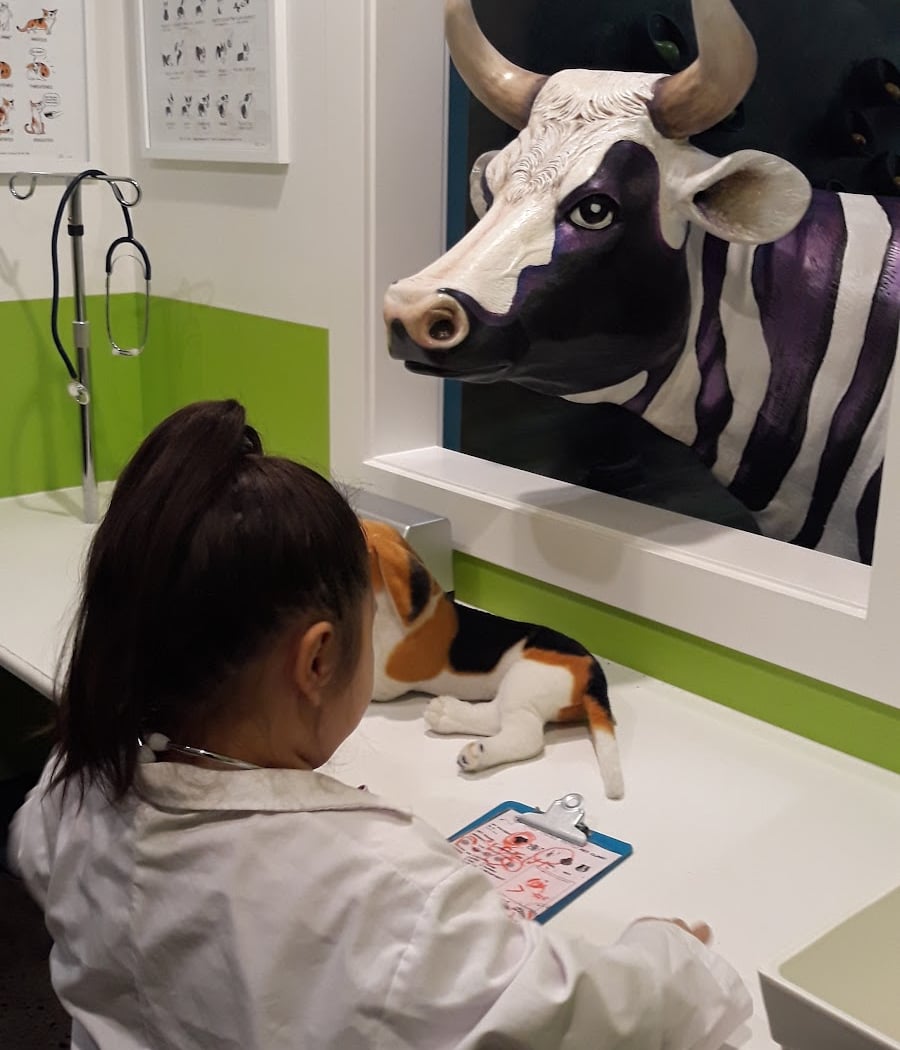 Chico Children's Museum 1
