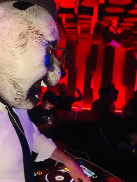 The Suit and Panda Live 1