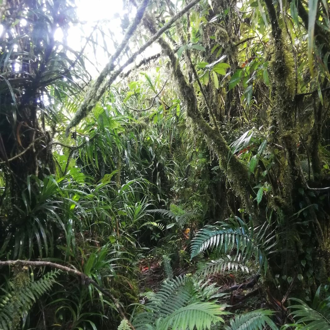 Gunung Seraya 3