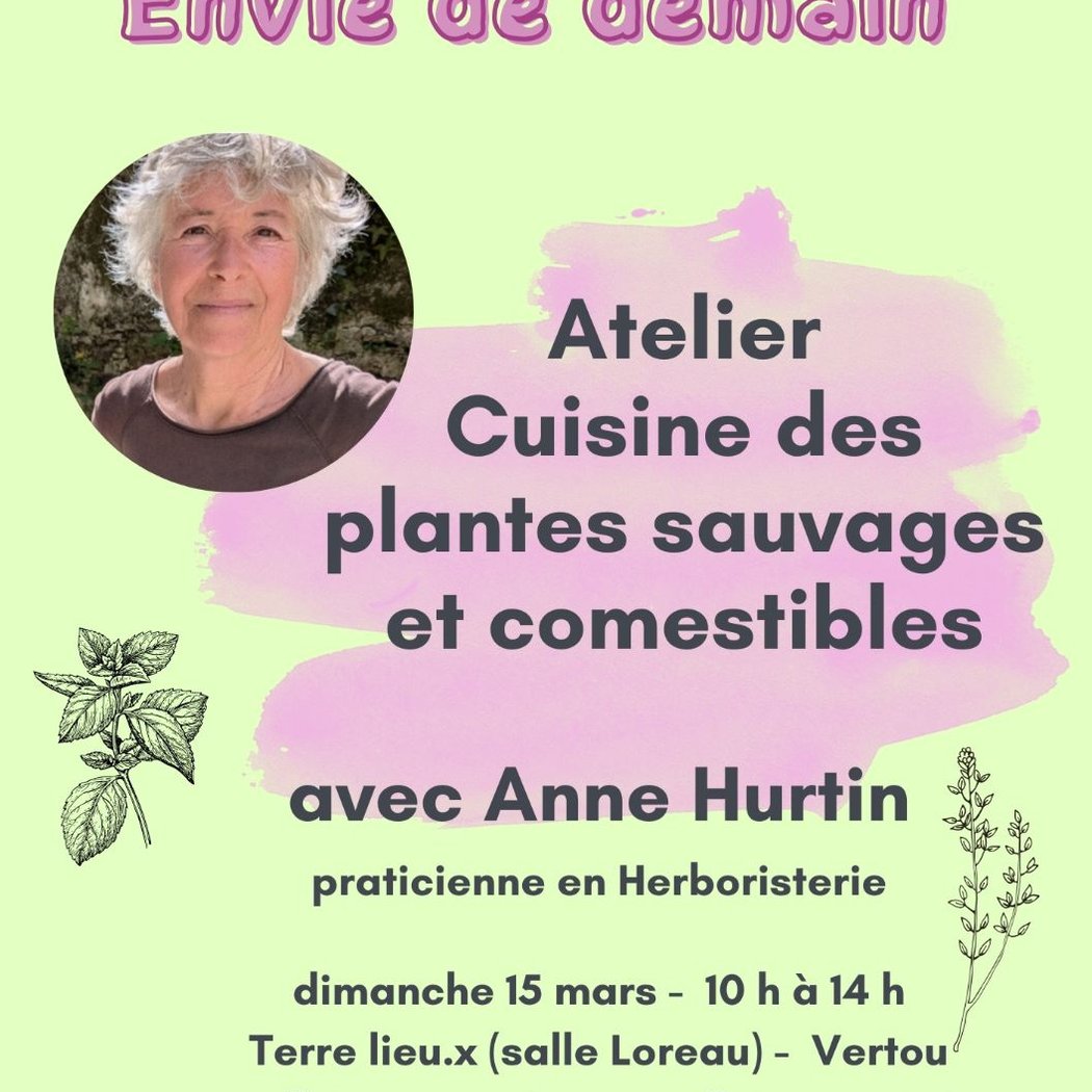 Cuisiner les plantes sauvages et comestibles 1