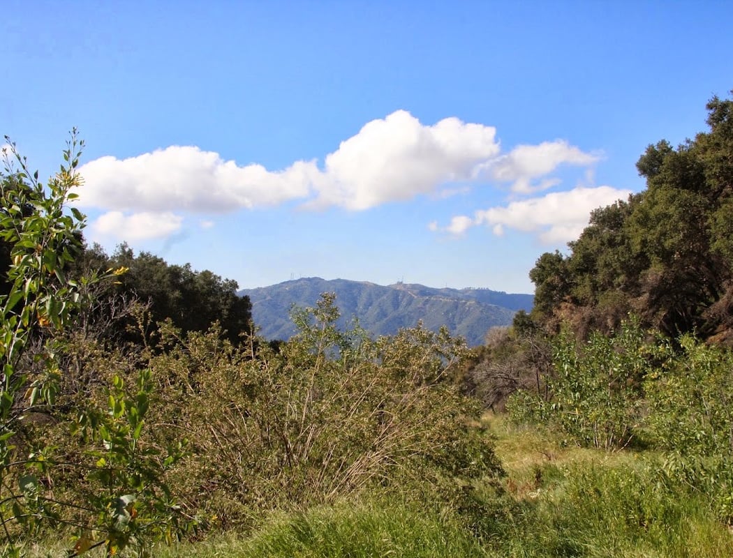 Rosemont Preserve Open Gate 2