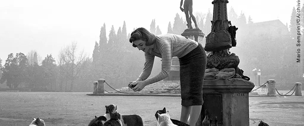 Firenze '50 '60 '70. Immagini dall'Archivio Foto Locchi