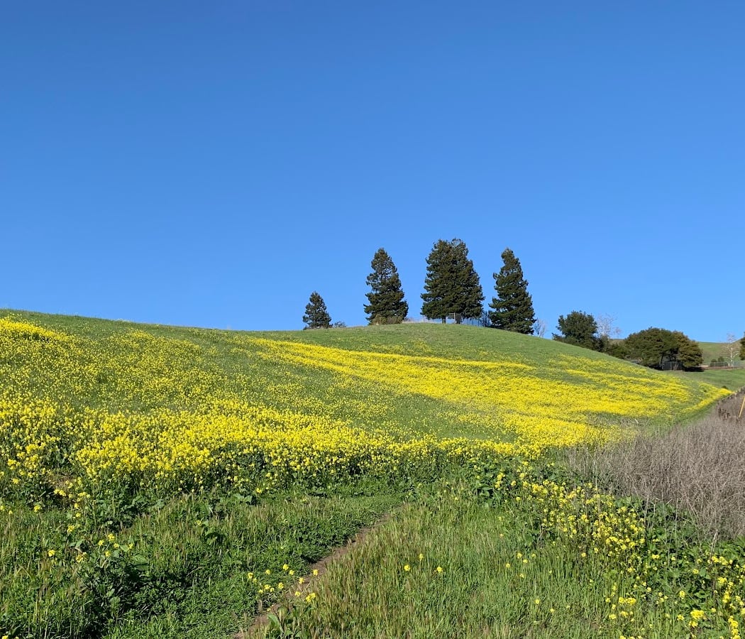 Airpoint Trail 1