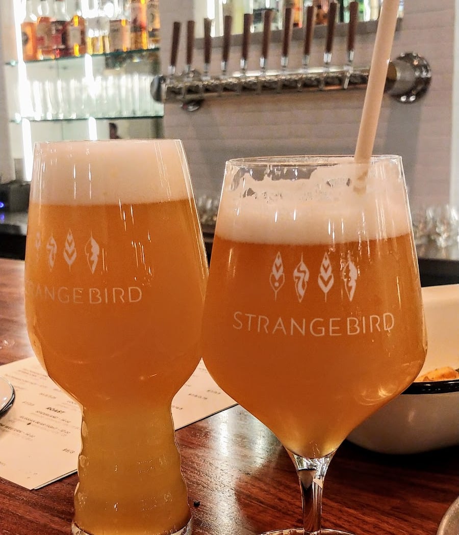 Strangebird 3