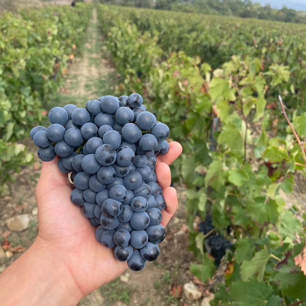 Domaine Bid'gi 3