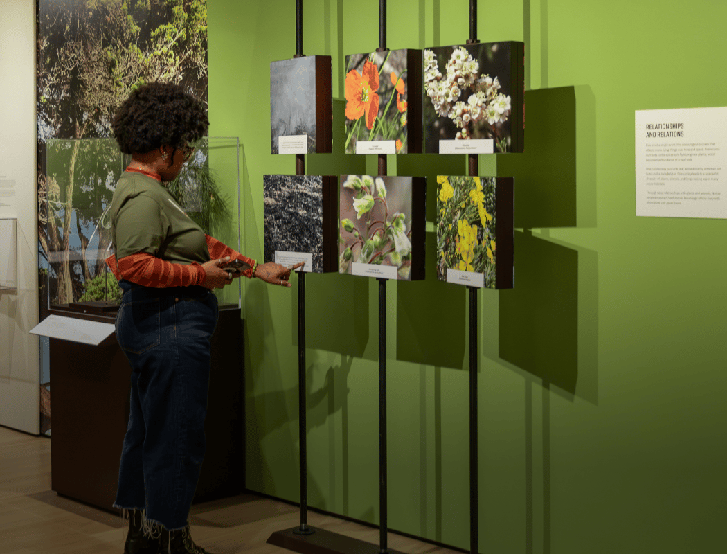 Cultural Burn Practices & the Future of Fire — Conversation & Discussion 2