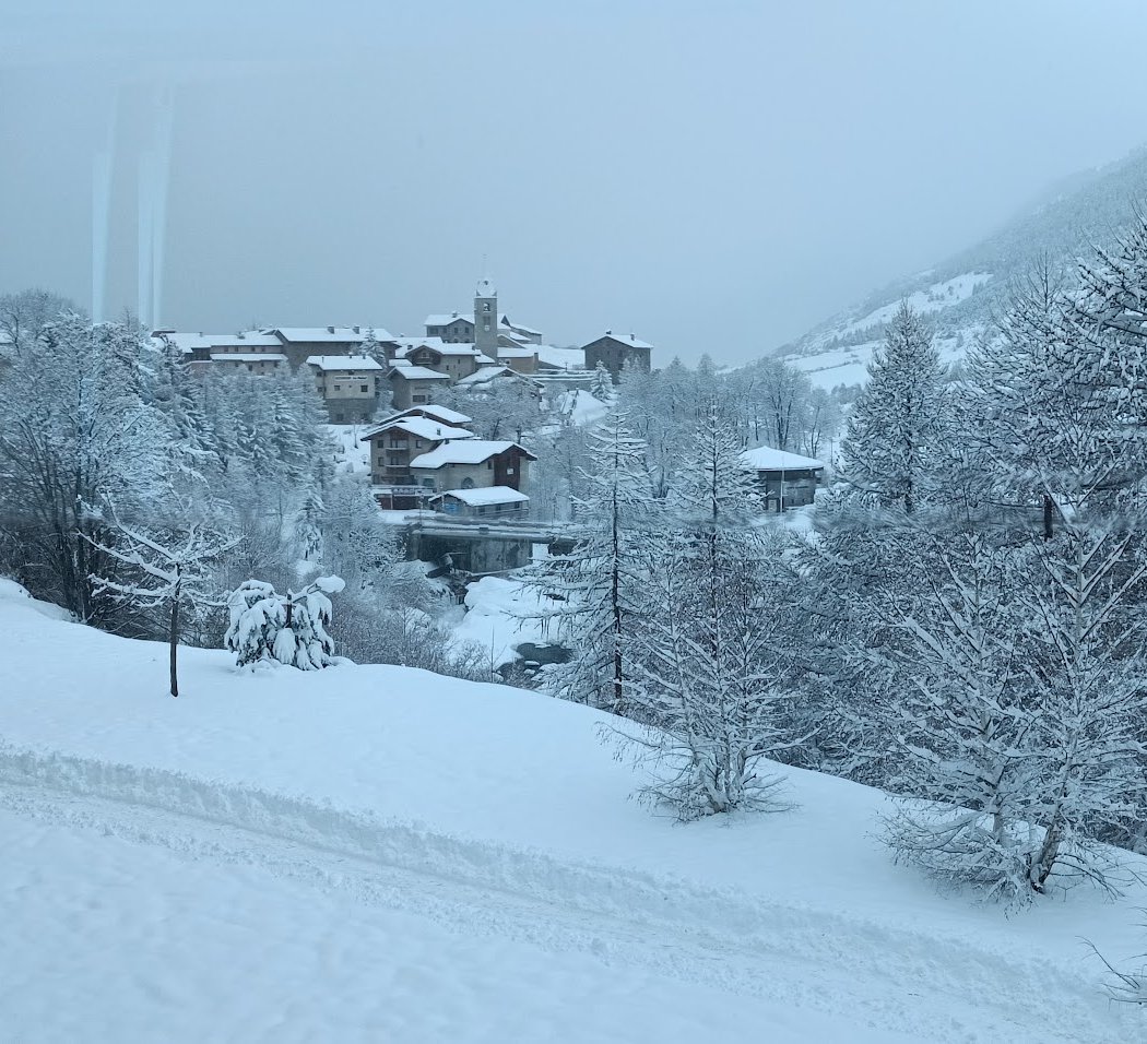 Travelski 3
