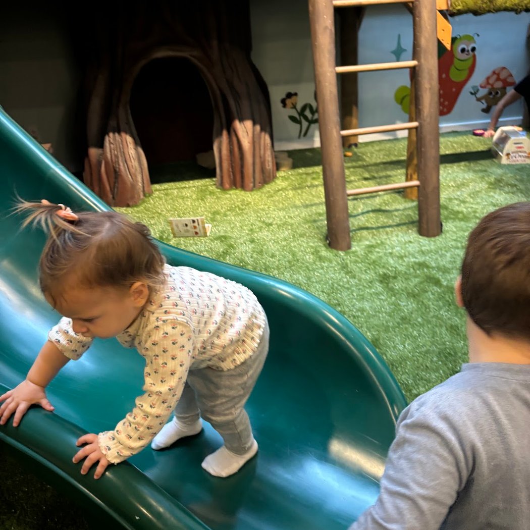 Chelsea Forest Play