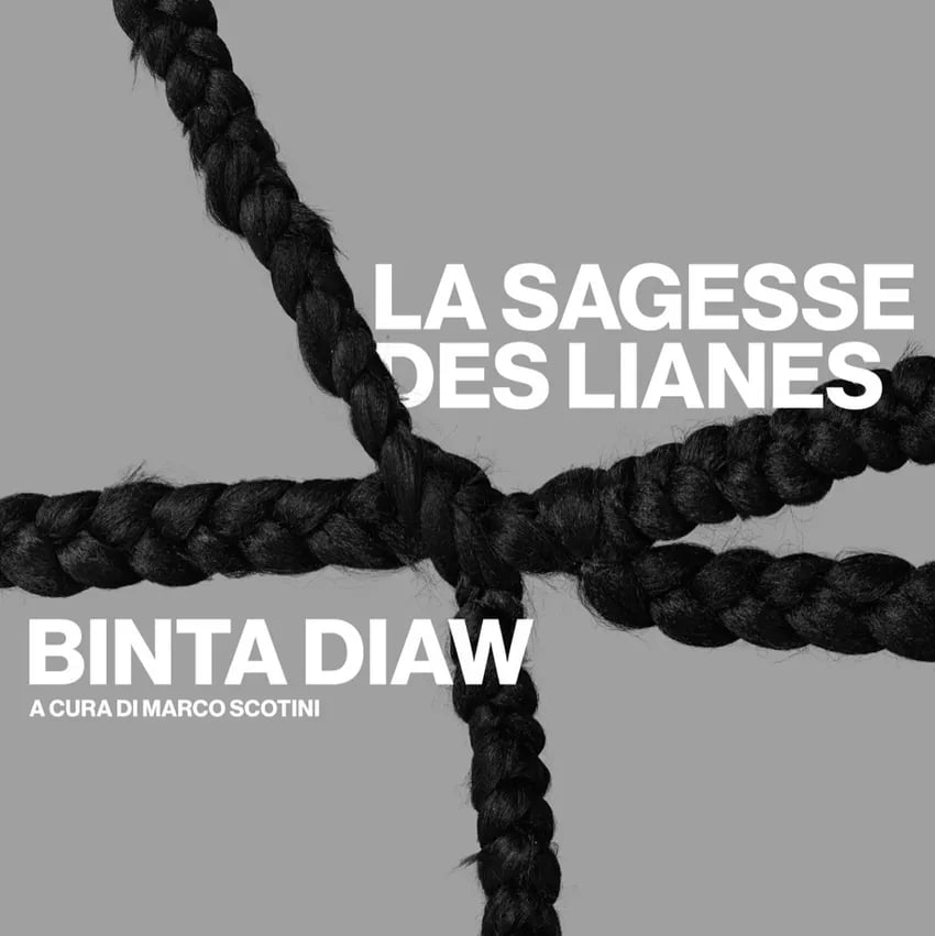 La Sagesse des lianes 1
