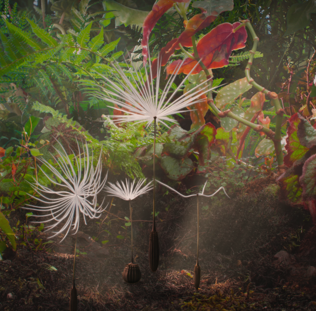 Dandelion’s Odyssey 1