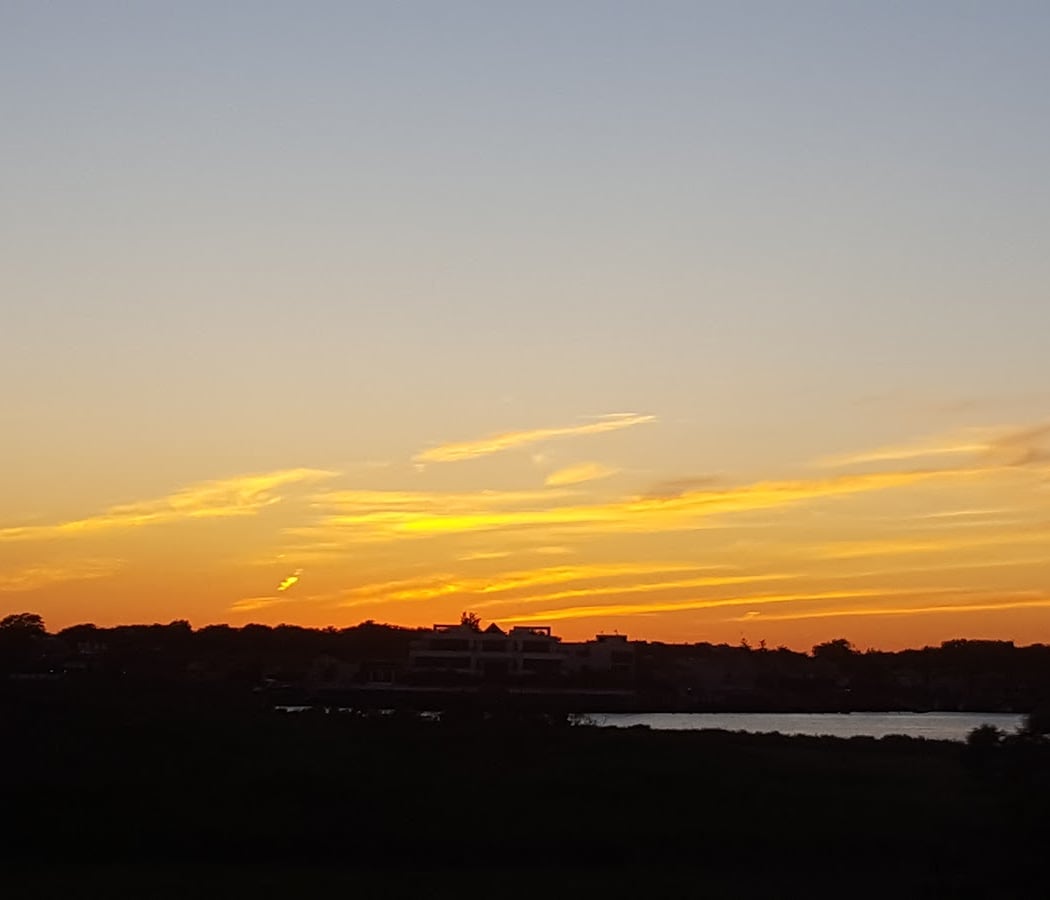 Four Sparrow Marsh 2
