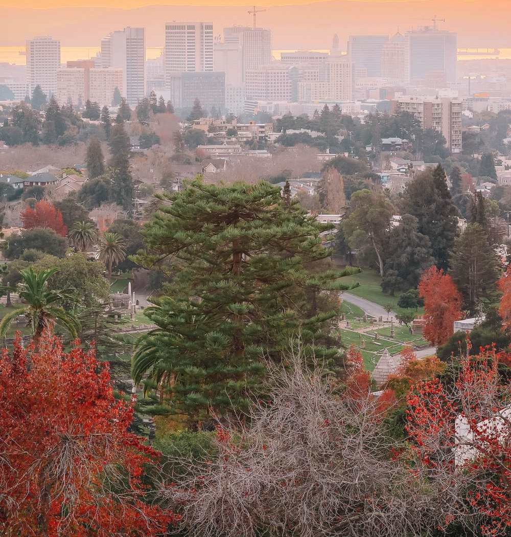 Piedmont Funeral Services and Mountain View Cemetery 4