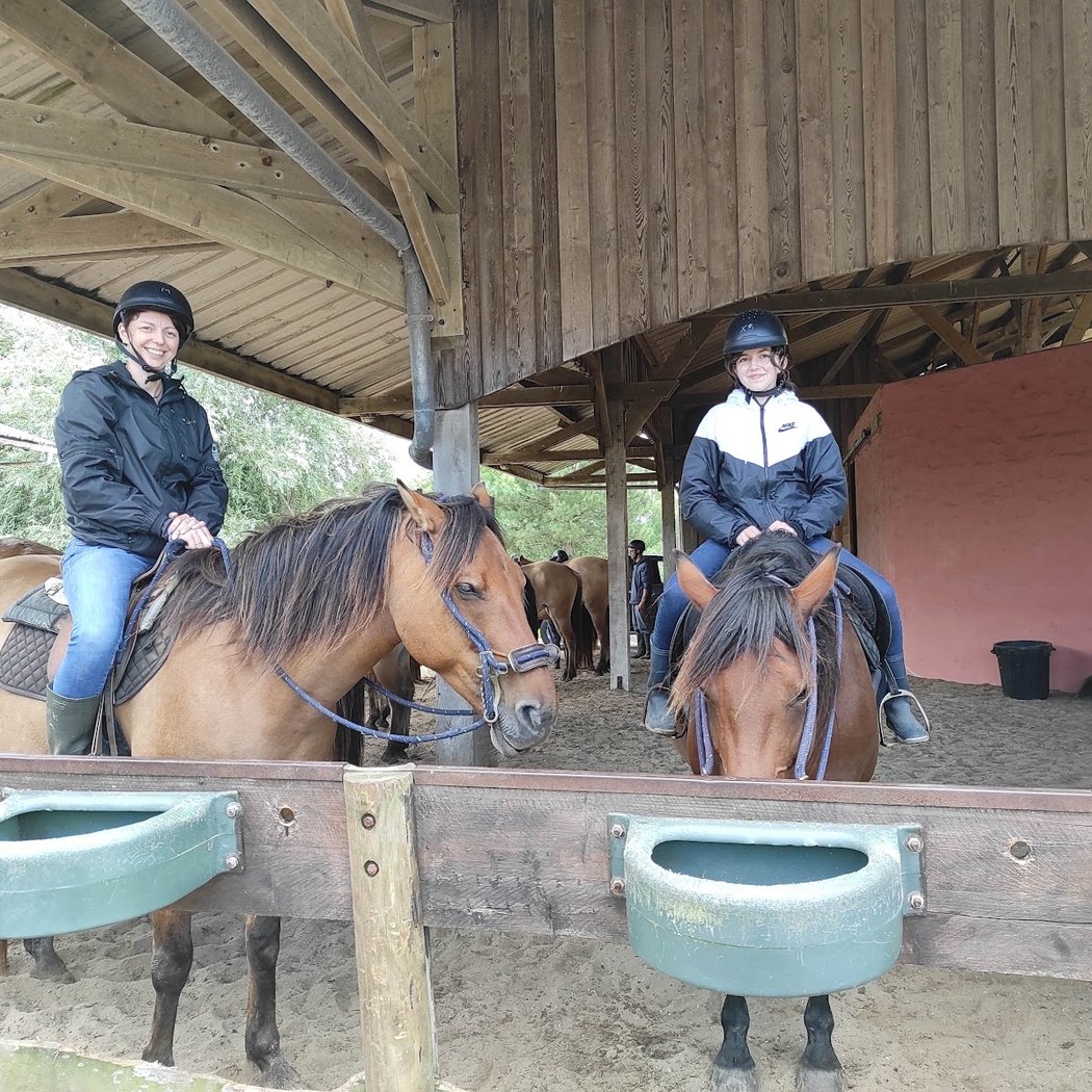 Spaces Equestres Henson 3