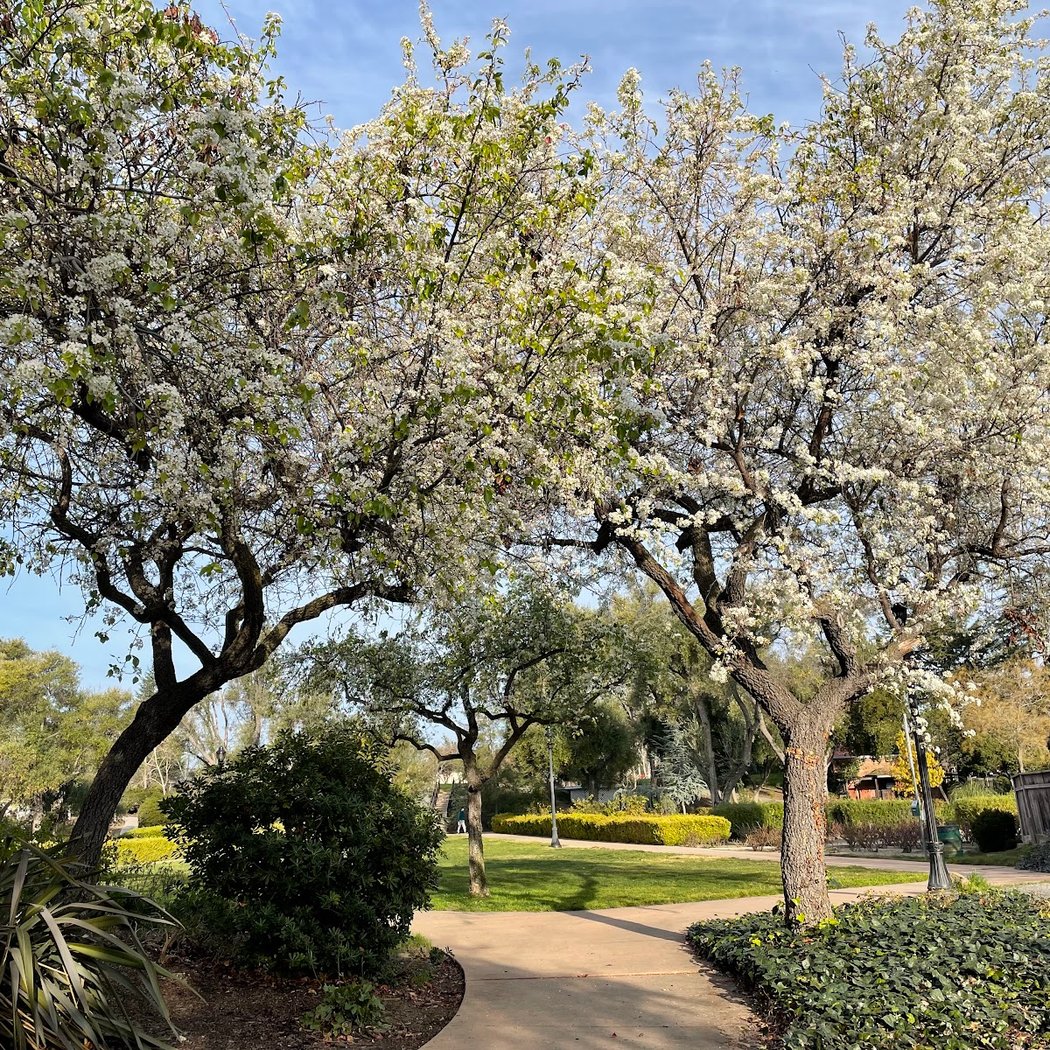Almaden Winery Community Center 1