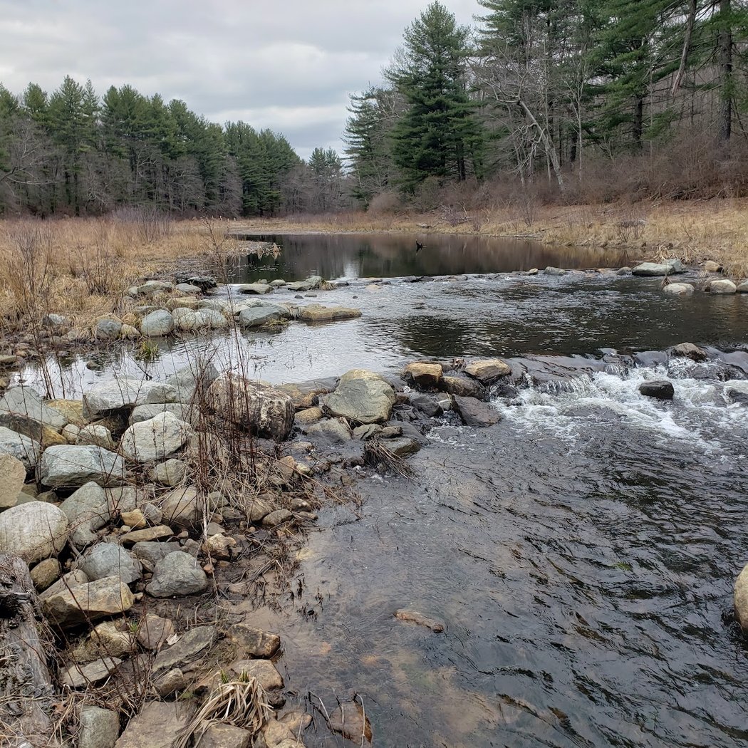 Blackledge Falls 2
