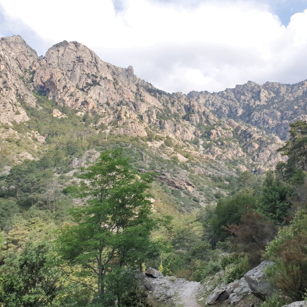 Vallée du Tavignano 2