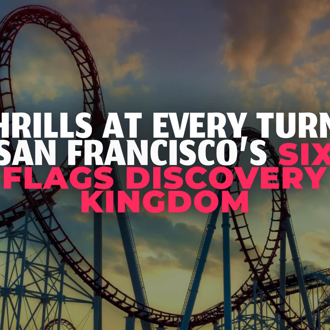Six Flags Discovery Kingdom 3