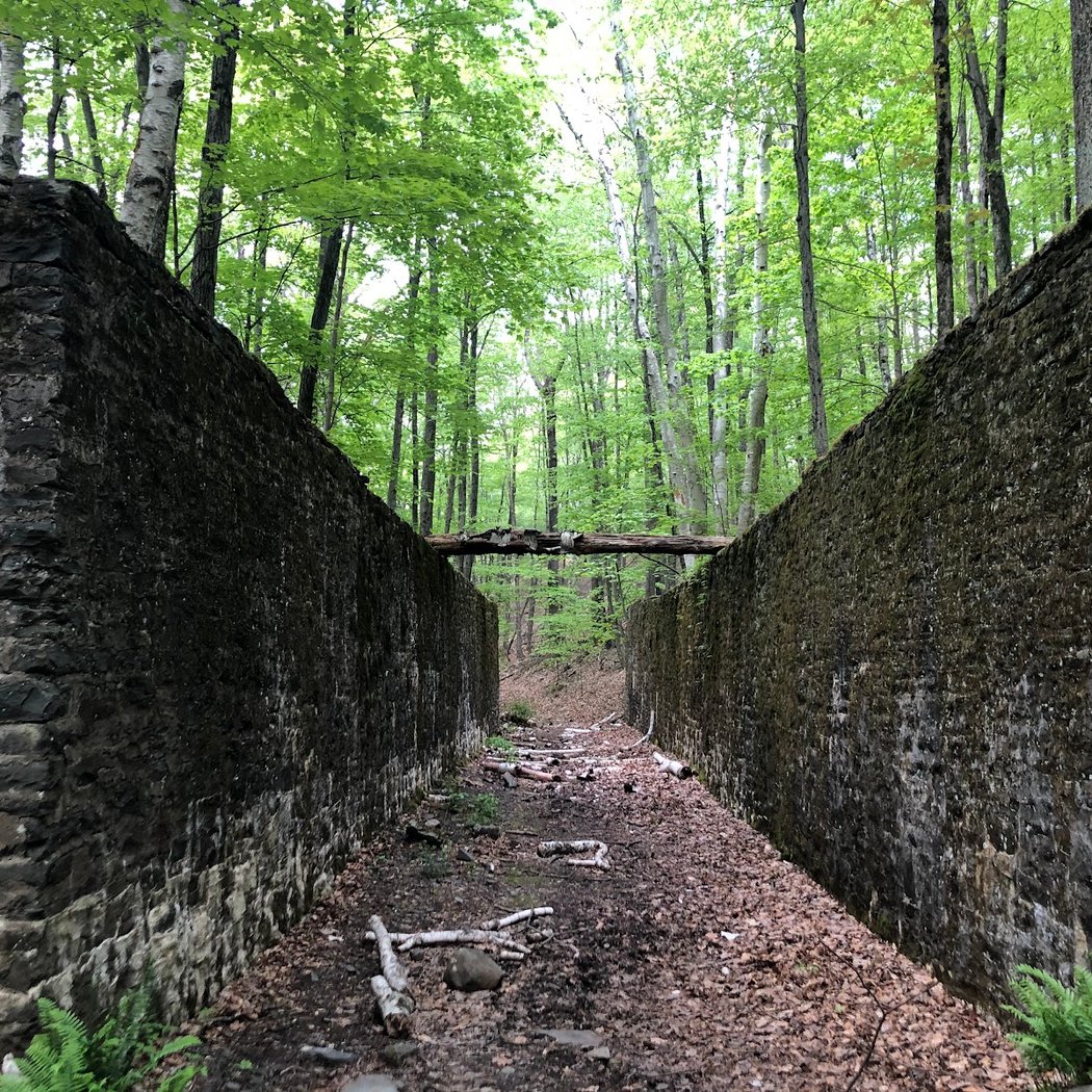 Ashokan Quarry Trail 1