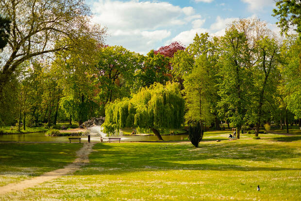 Parc Lefèvre 1