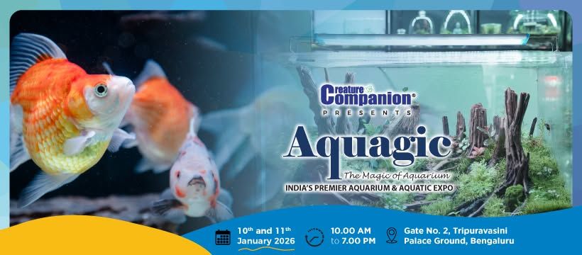 Aquagic Bengaluru 2026 1