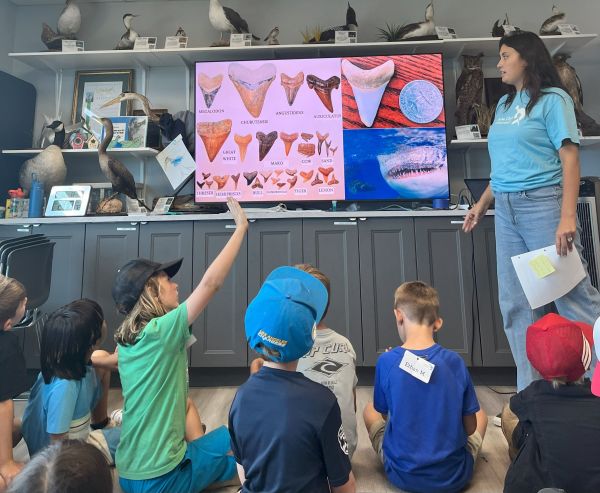 Summer Curiosity Club 3