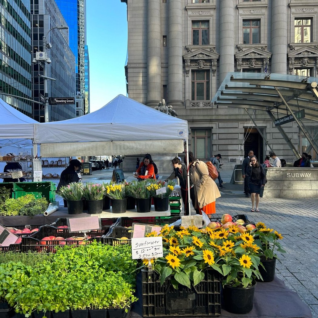 Bowling Green Greenmarket 1