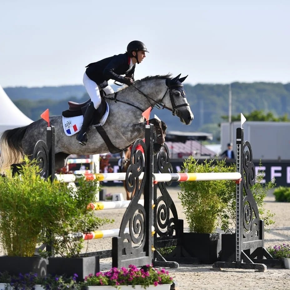 Ferme Equestre et chambres d'hôtes Gateau Stables près Guédelon 1
