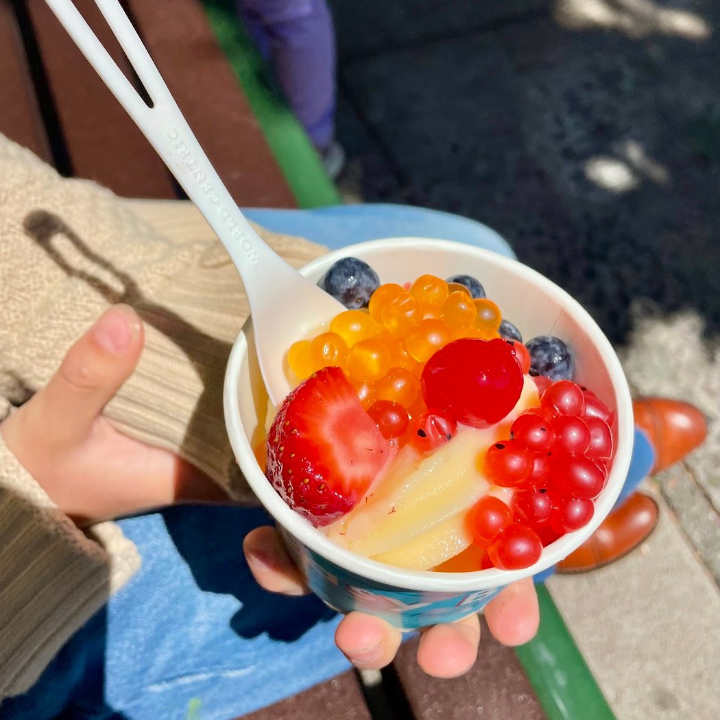 Easy Breezy Frozen Yogurt Noe Valley 1