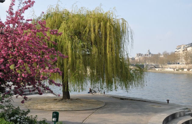Dancing by the Seine 2