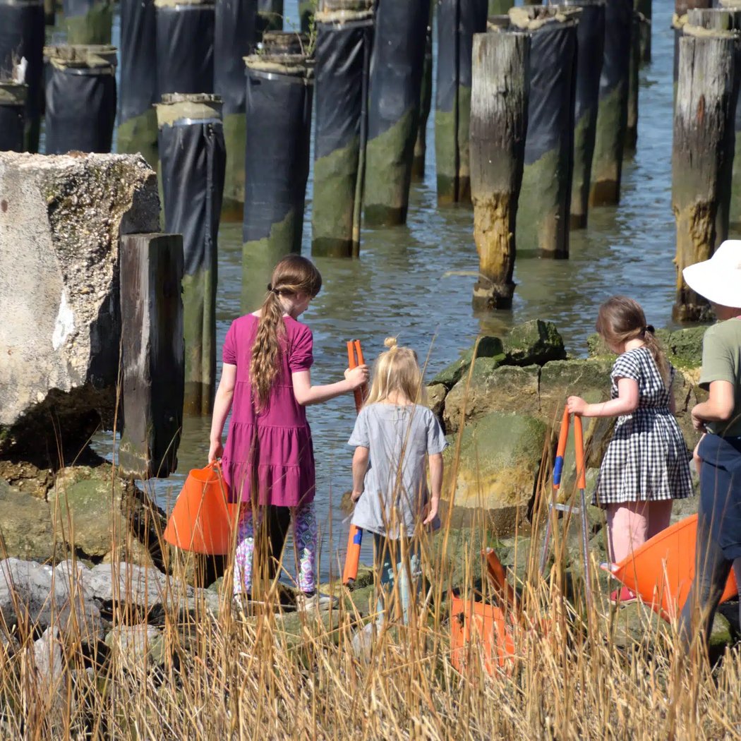 Coastal Cleanup 1