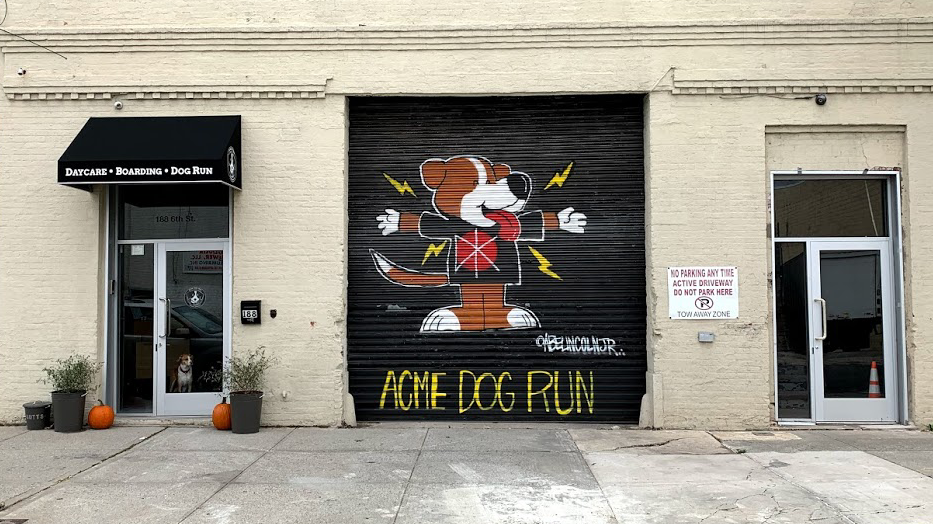 Acme Dog Run 2