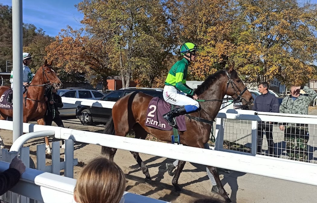 105th President Stakes 3