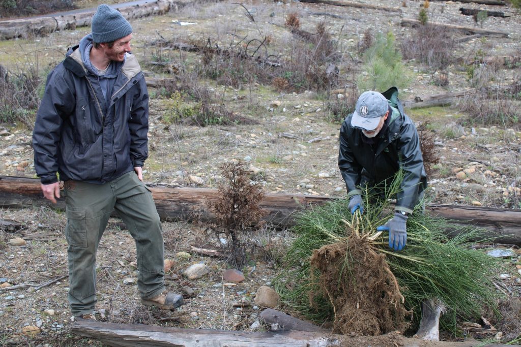 Invasive Plant Pull 5