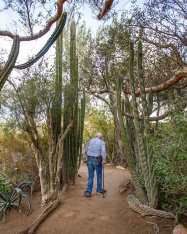 Moorten Botanical Garden 3