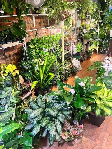 Living with Green 1