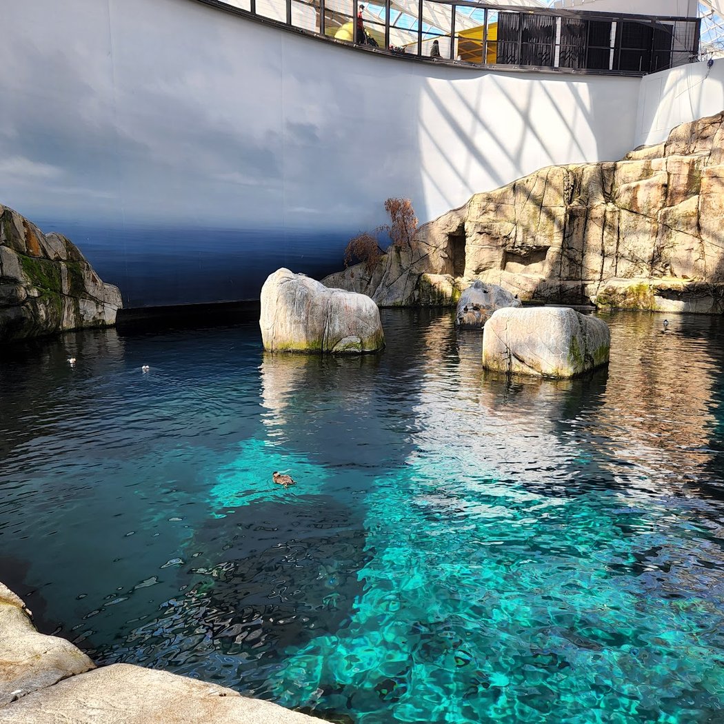 Montreal Biodome 1