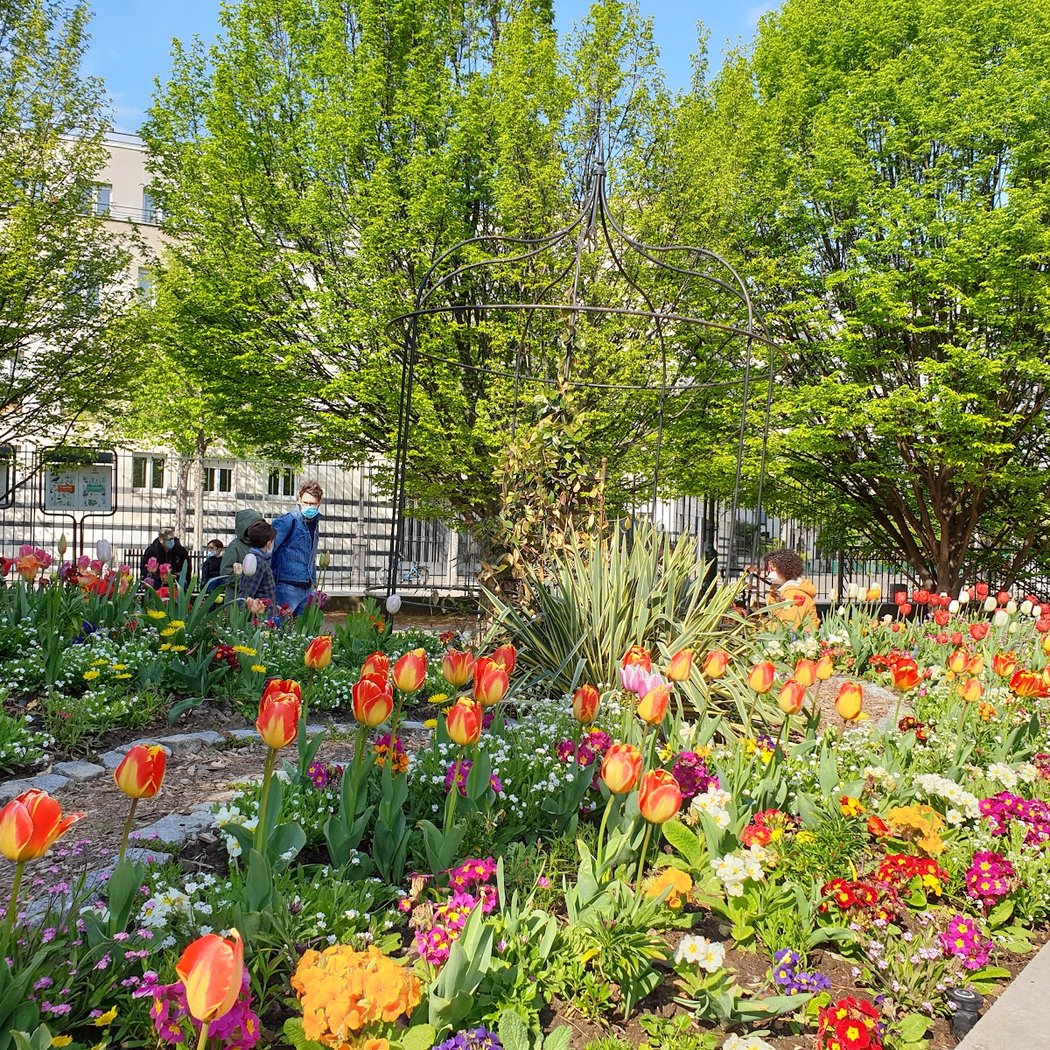 Jardin ouvert la nuit 1